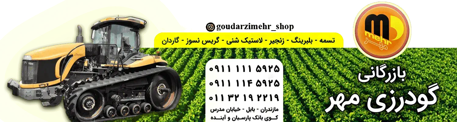 بازرگانی گودرزی مهر